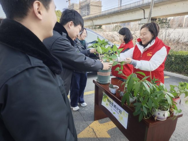  植绿于心 护绿于行——苏州维管段植树节系列活动